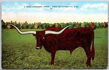1949 texas longhorn for sale  Boiling Springs