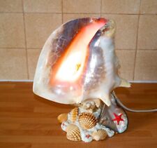 Vintage giant conch for sale  YORK