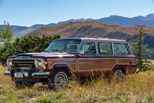 1991 jeep wagoneer for sale  Miami