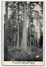 McCloud River Lumber Co. Logging Mill Advertising California Postcard for sale  Shipping to South Africa