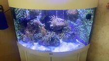 marine reef aquarium fish tank /  Fluvel FX6 Filter / Clown Fish / Rock / Corals, used for sale  BOLTON