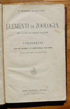 Elementi zoologia vertebrati usato  Roma