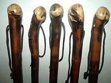 Bastón de bola de raíz rústica de madera de castaño liso 36"✅ segunda mano  Embacar hacia Argentina