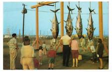 Giant bluefin tuna for sale  Staten Island