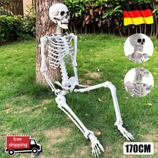 Skelett halloween lebensgroß gebraucht kaufen  Versand nach Germany