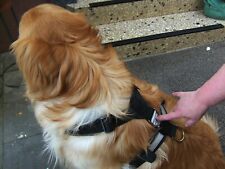 Hunde sicherheitsgurt firma gebraucht kaufen  Kobern-Gondorf