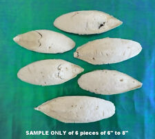 bones ceramics for sale  DEAL