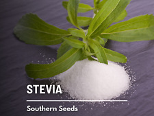 Stevia (hoja de azúcar) - 50 semillas - edulcorante natural - no transgénico (stevia rebaudiana) segunda mano  Embacar hacia Mexico