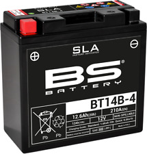 Battery 300644 bt14b usato  Reggio Emilia