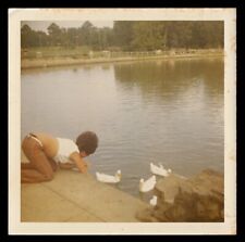 BIG BOOTY TWERK BEE HIVE WOMAN FALLS for FEEDING DUCKS ~ 1970 PHOTO for sale  Shipping to South Africa