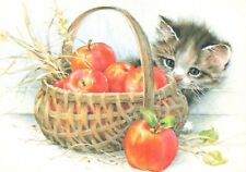 Postcard cat kitten for sale  Southington
