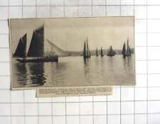 1935 brixham regatta for sale  BISHOP AUCKLAND