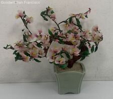 cherry blossom bonsai tree for sale  South San Francisco