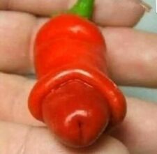 Used, PENIS CHILLI SEEDS PETER PEPPER WILLY CHILLIES SEEDS UK SELLER for sale  Shipping to South Africa