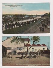 2 BLOOMSBURG,PA. POSTCARDS - FAIR RACETRACK, OSTRICH FARM - 1912 for sale  Shipping to South Africa