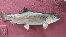 Rainbow trout taxidermy for sale  Rockford