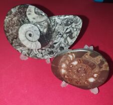 Decorative polished ammonites for sale  BILLERICAY