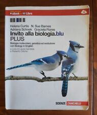 Libri scolastici usati usato  Vitulazio