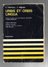 Urbis orbis tantucci usato  Jesolo