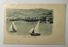 Cartolina trieste vista usato  Trieste