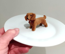 Real fur dachshund for sale  LINCOLN