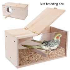 Bird eggs breeding for sale  UK