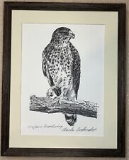 Broadwing hawk framed for sale  Fort Lauderdale