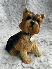 Beautiful leonardo dog for sale  TONBRIDGE