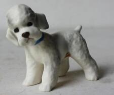 Poodle puppy dog for sale  Noblesville