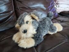 Aurora yorkshire terrier for sale  HOUNSLOW