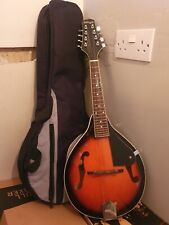 Stagg mandolin plus for sale  LONDON