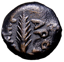 Judea. Procuradores. Porcius Festus Æ Prutah. Moneda romana de la Biblia antigua casi como nueva segunda mano  Embacar hacia Argentina