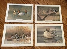 Duck prints art for sale  Easton