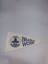Vintage scouts pennant for sale  CUMNOCK