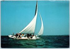 Postcard skipjack racing for sale  Stevens Point