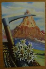 Illustrata picozza alpini usato  Belluno