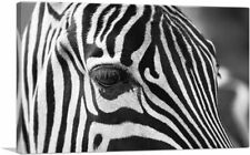 Artcanvas zebra face for sale  Niles