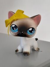 figurine petshop chat européen n°5 bis 