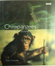 Chimpanzees social climbers for sale  UK