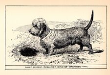 Antique Dandie Dinmont Terrier Print 1912 Moore Ch Blacket House Yet 4820u, used for sale  Shipping to South Africa