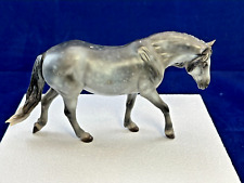 haflinger horse for sale  Tucson