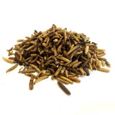 Dried calciworms 5kg for sale  HULL