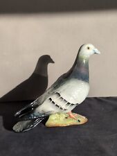 Beswick grey pigeon for sale  BOSTON