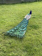 Indian blue peacock for sale  BOSTON