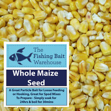 Whole maize seed for sale  ATHERSTONE
