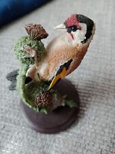 British birds goldfinch for sale  CHICHESTER