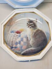 Cat kitten collector for sale  Orangeburg