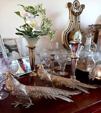 silver pheasant for sale  SUNDERLAND