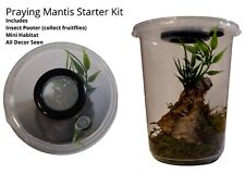 Praying Mantis Starter Kit Includes Mini Habitat Insect Pooter & Decor for sale  LOWESTOFT