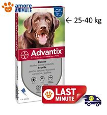 Advantix Bayer 4 pipette per cani da 25-40 kg - Antiparassitario  ex oltre 25 kg usato  Serra De Conti